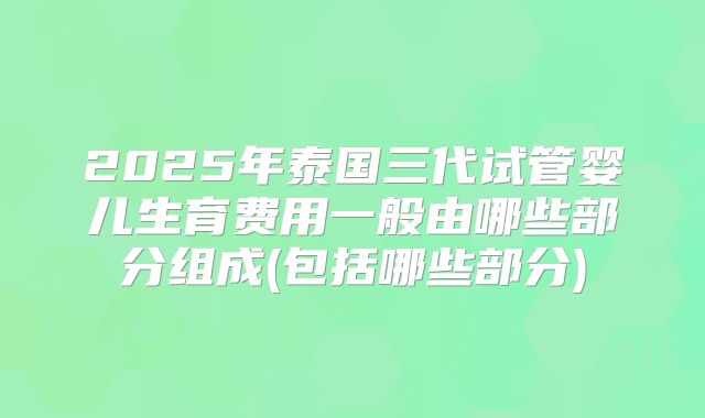2025年泰国三代试管婴儿生育费用一般由哪些部分组成(包括哪些部分)