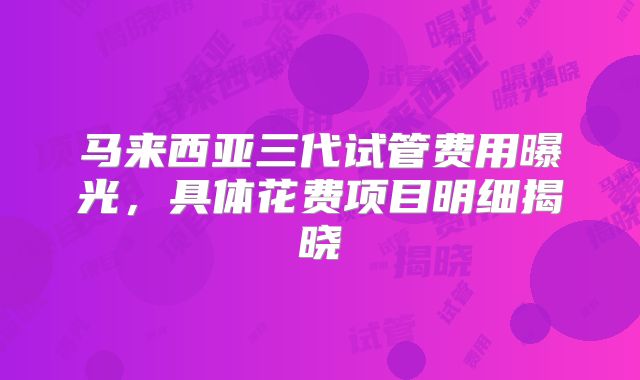 马来西亚三代试管费用曝光，具体花费项目明细揭晓