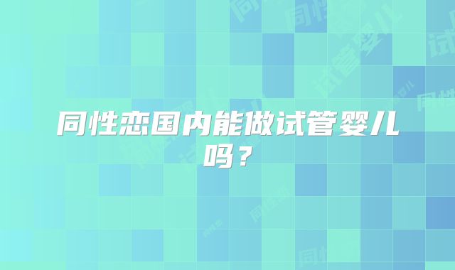 同性恋国内能做试管婴儿吗？