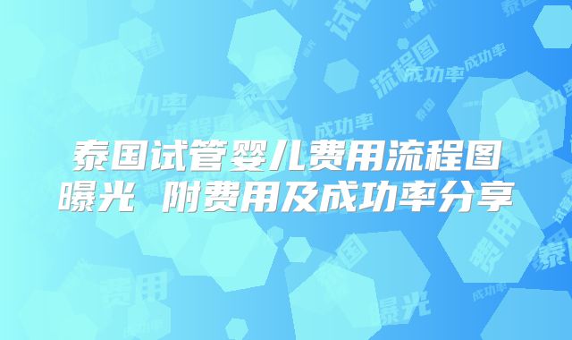 泰国试管婴儿费用流程图曝光 附费用及成功率分享
