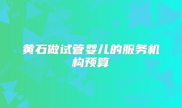 黄石做试管婴儿的服务机构预算
