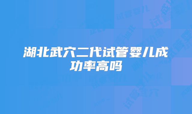 湖北武穴二代试管婴儿成功率高吗
