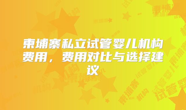柬埔寨私立试管婴儿机构费用,费用对比与选择建议