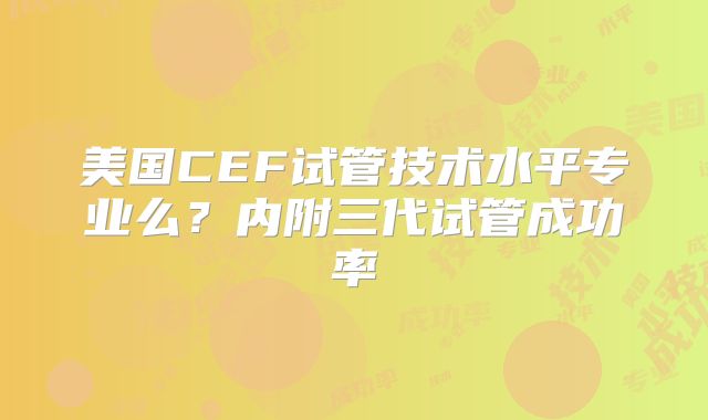 美国CEF试管技术水平专业么?内附三代试管成功率