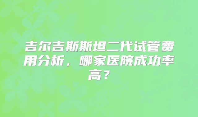 吉尔吉斯斯坦二代试管费用分析，哪家医院成功率高？