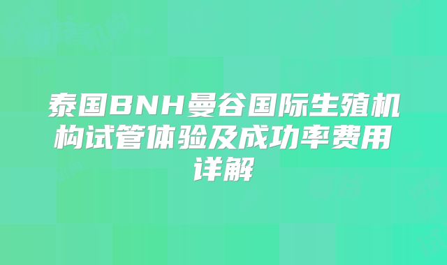 泰国BNH曼谷国际生殖机构试管体验及成功率费用详解