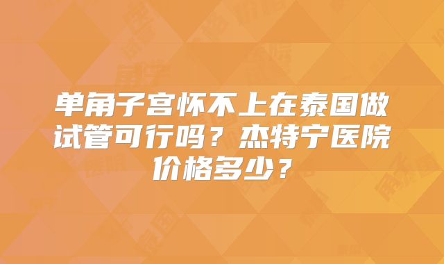 单角子宫怀不上在泰国做试管可行吗?杰特宁医院价格多少?