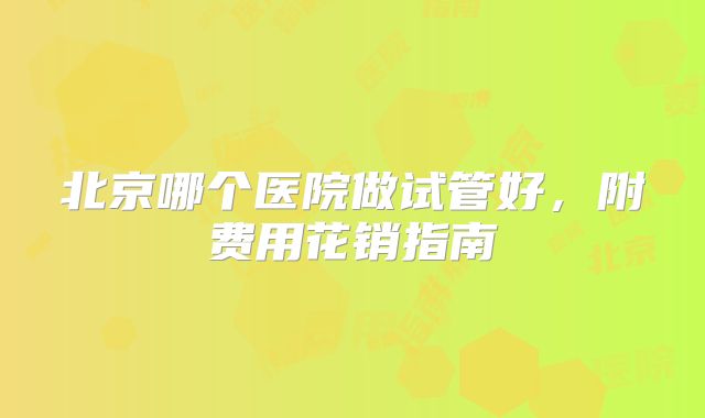 北京哪个医院做试管好，附费用花销指南