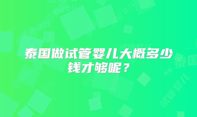 泰国做试管婴儿大概多少钱才够呢？