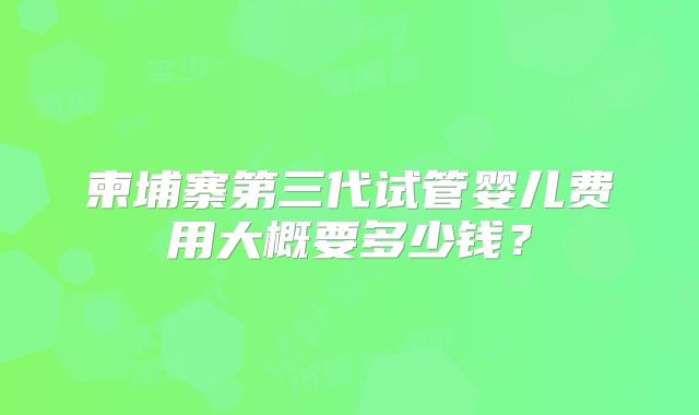 柬埔寨第三代试管婴儿费用大概要多少钱？