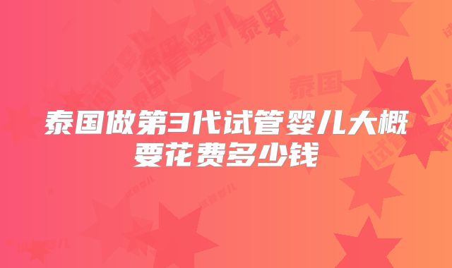 泰国做第3代试管婴儿大概要花费多少钱