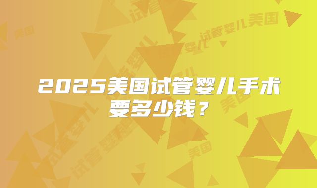 2025美国试管婴儿手术要多少钱？