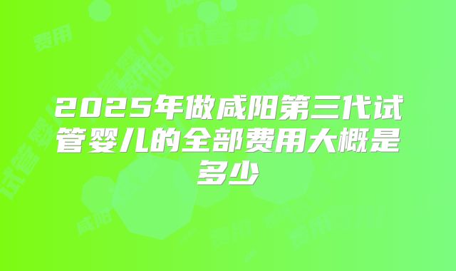 2025年做咸阳第三代试管婴儿的全部费用大概是多少