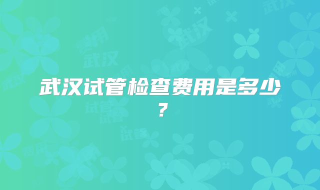 武汉试管检查费用是多少？