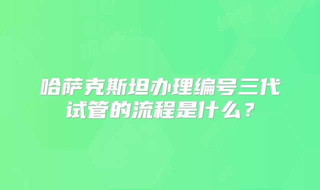 哈萨克斯坦办理编号三代试管的流程是什么?