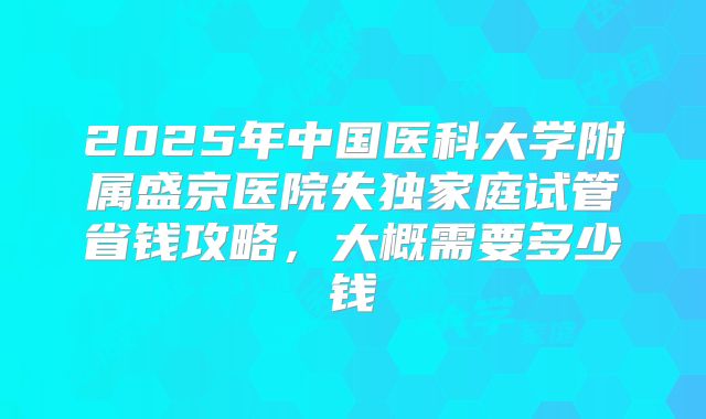 2025年中国医科大学附属盛京医院失独家庭试管省钱攻略,大概需要多少钱