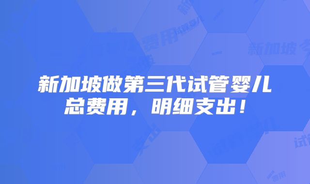 新加坡做第三代试管婴儿总费用,明细支出!