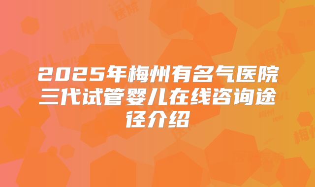 2025年梅州有名气医院三代试管婴儿在线咨询途径介绍