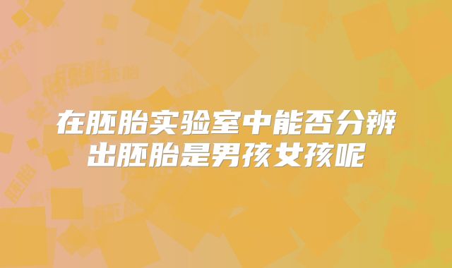 在胚胎实验室中能否分辨出胚胎是男孩女孩呢
