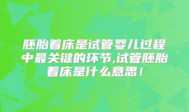 胚胎着床是试管婴儿过程中最关键的环节,试管胚胎着床是什么意思！