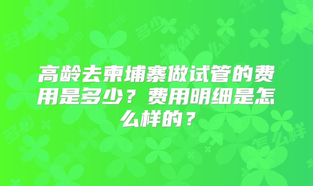 高龄去柬埔寨做试管的费用是多少?费用明细是怎么样的?