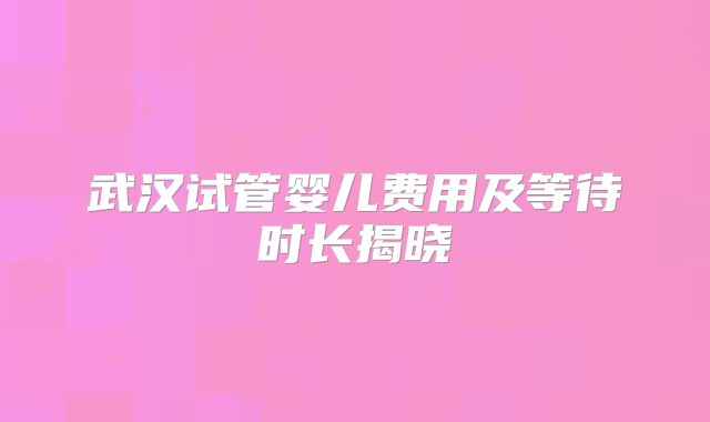 武汉试管婴儿费用及等待时长揭晓