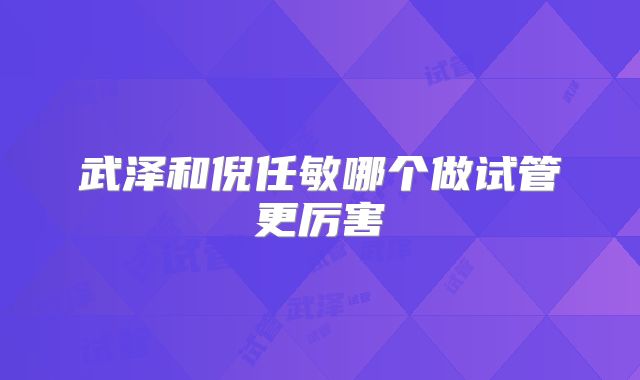 武泽和倪任敏哪个做试管更厉害