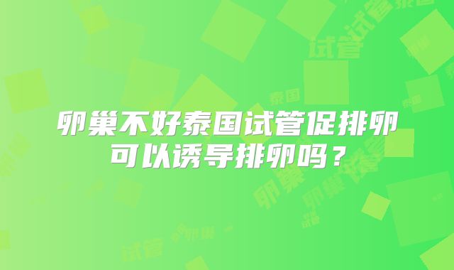 卵巢不好泰国试管促排卵可以诱导排卵吗?