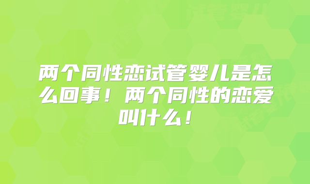 两个同性恋试管婴儿是怎么回事！两个同性的恋爱叫什么！