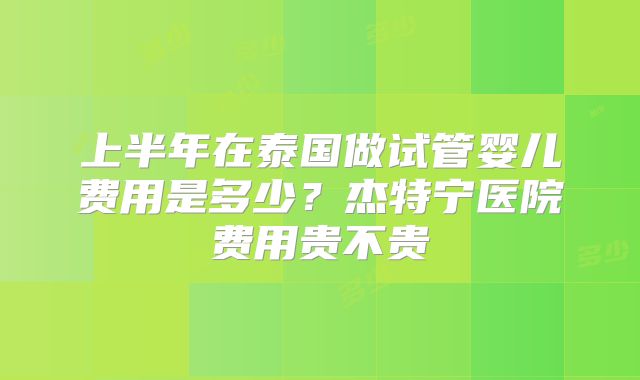 上半年在泰国做试管婴儿费用是多少?杰特宁医院费用贵不贵