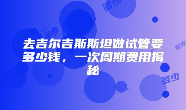 去吉尔吉斯斯坦做试管要多少钱,一次周期费用揭秘