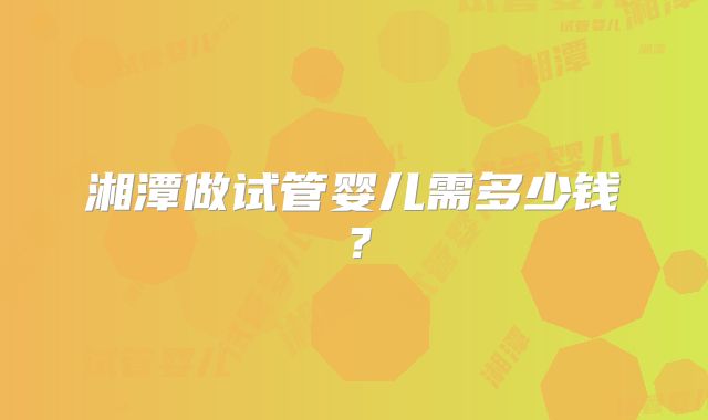 湘潭做试管婴儿需多少钱？