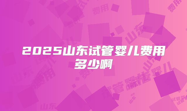 2025山东试管婴儿费用多少啊