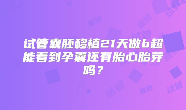 试管囊胚移植21天做b超能看到孕囊还有胎心胎芽吗？