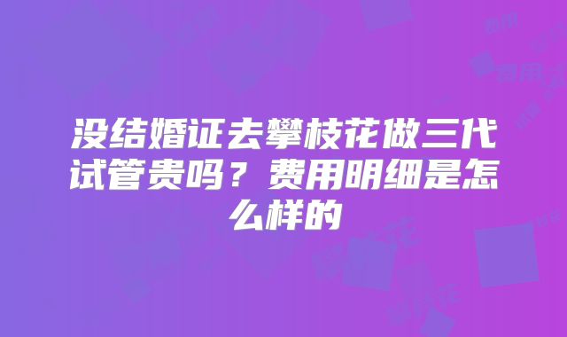 没结婚证去攀枝花做三代试管贵吗?费用明细是怎么样的