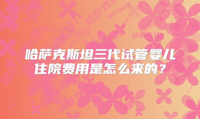 哈萨克斯坦三代试管婴儿住院费用是怎么来的?