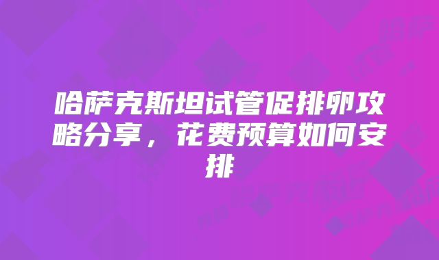 哈萨克斯坦试管促排卵攻略分享,花费预算如何安排