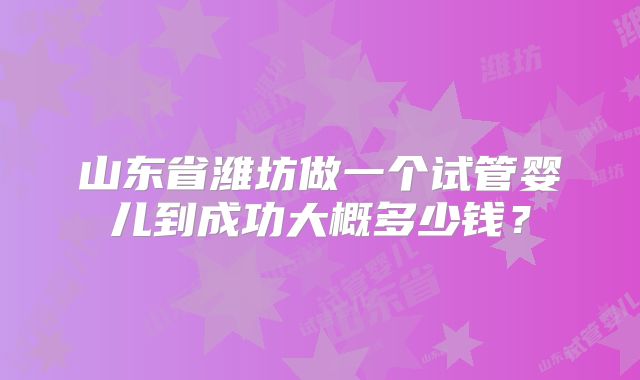 山东省潍坊做一个试管婴儿到成功大概多少钱？