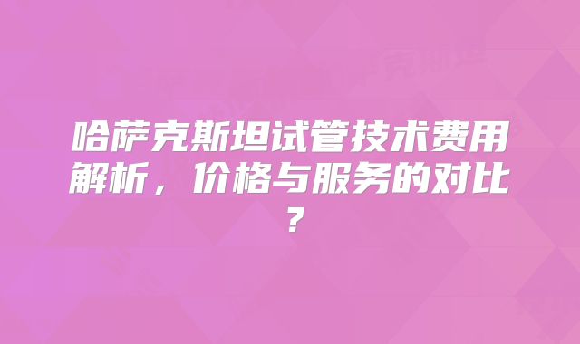 哈萨克斯坦试管技术费用解析，价格与服务的对比？