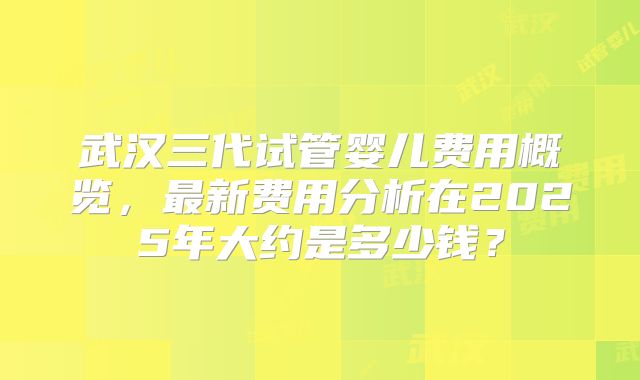 武汉三代试管婴儿费用概览，最新费用分析在2025年大约是多少钱？