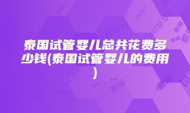 泰国试管婴儿总共花费多少钱(泰国试管婴儿的费用)
