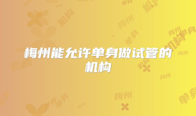 梅州能允许单身做试管的机构