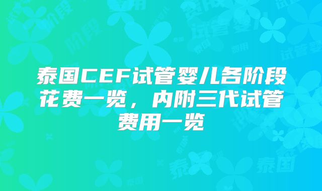 泰国CEF试管婴儿各阶段花费一览,内附三代试管费用一览
