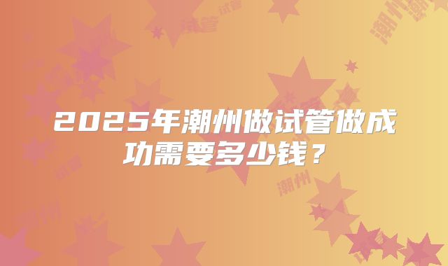 2025年潮州做试管做成功需要多少钱？