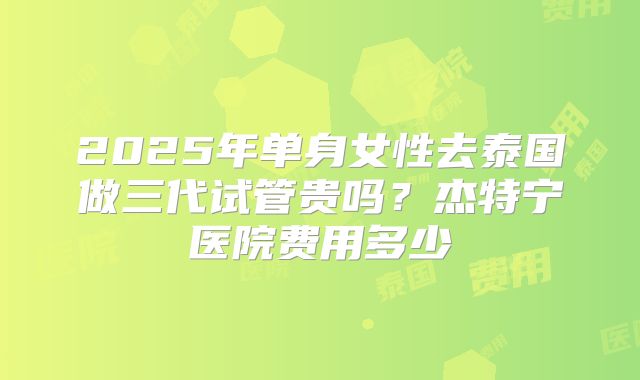 2025年单身女性去泰国做三代试管贵吗?杰特宁医院费用多少