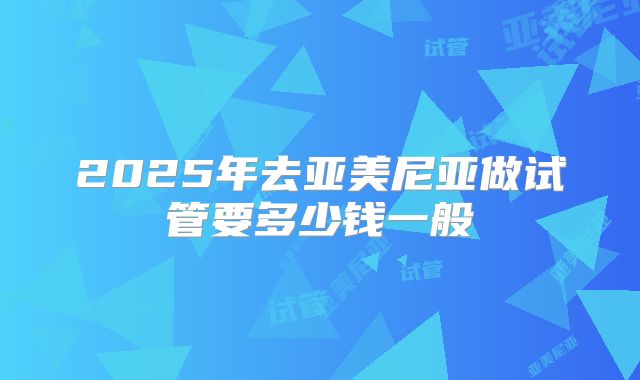 2025年去亚美尼亚做试管要多少钱一般