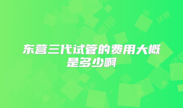 东营三代试管的费用大概是多少啊