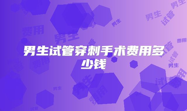 男生试管穿刺手术费用多少钱