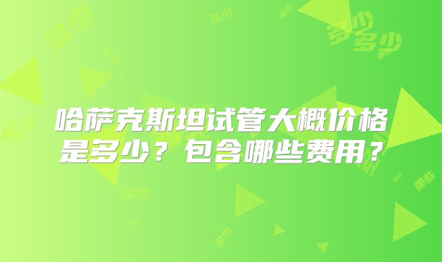 哈萨克斯坦试管大概价格是多少？包含哪些费用？