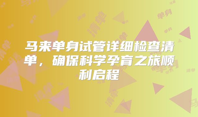 马来单身试管详细检查清单，确保科学孕育之旅顺利启程